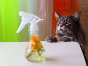 Homemade Repellents to Keep Cats from Urinating in Your Home