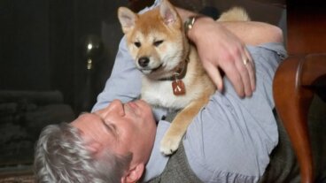 More Than 390 Original Names for Dogs with Their Meanings